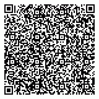 vCard 79294021173