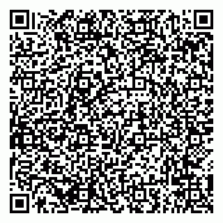 vCard 79294021174