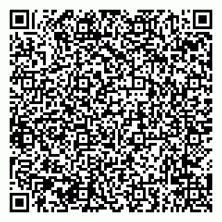 vCard 79294024021