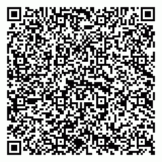 vCard 79294024729
