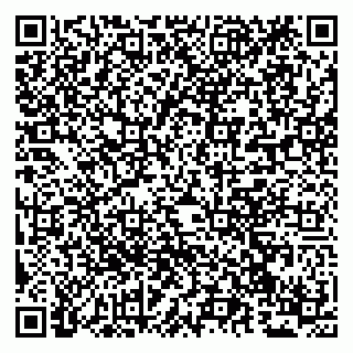 vCard 79294029106