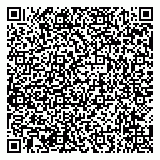 vCard 79294030413