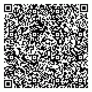 vCard 79294030773