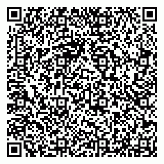 vCard 79294031000