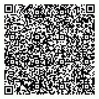 vCard 79294031007