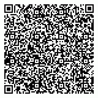 vCard 79294031008