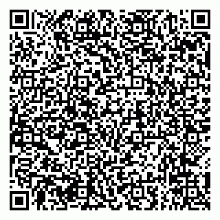 vCard 79294031020