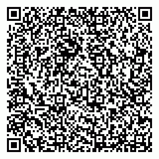 vCard 79294031021