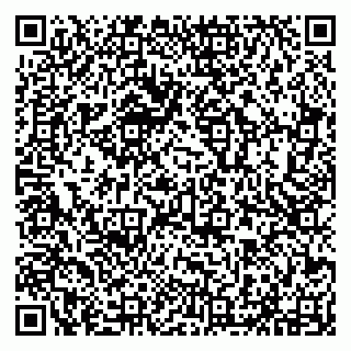 vCard 79294031029