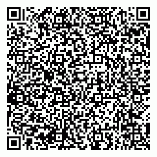 vCard 79294031036