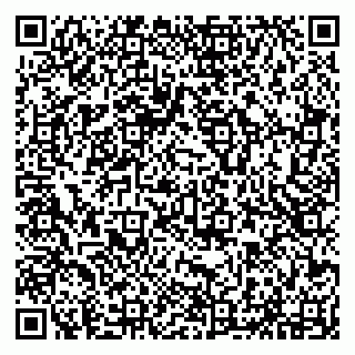 vCard 79294031051