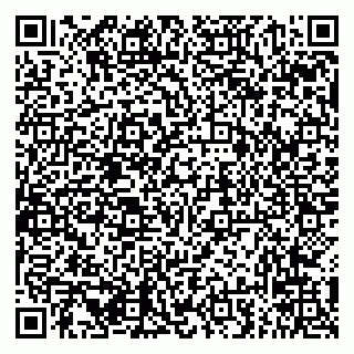 vCard 79294031059