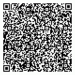vCard 79294031063