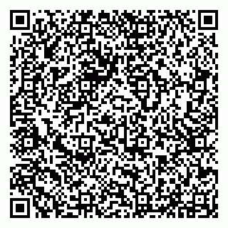 vCard 79294031078