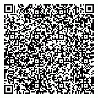 vCard 79294031105