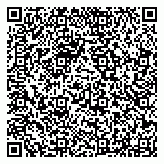vCard 79294031106