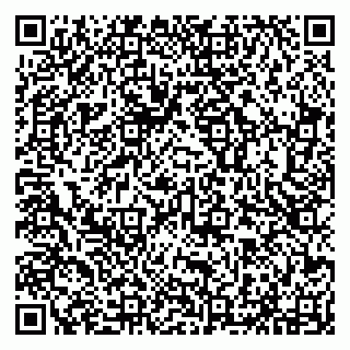 vCard 79294031115