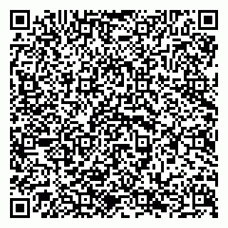 vCard 79294189302