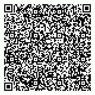 vCard 79294189303
