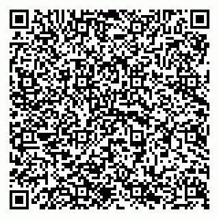 vCard 79294189313