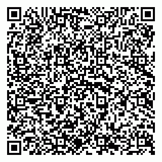 vCard 79294189331