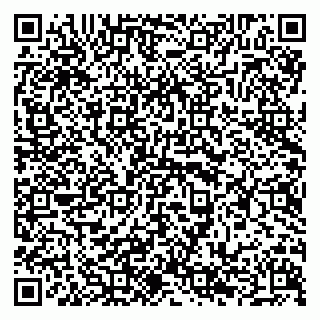 vCard 79294189332