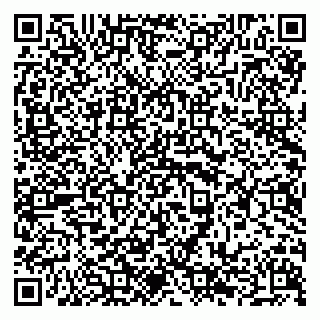 vCard 79294189333