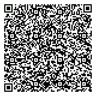 vCard 79294189370
