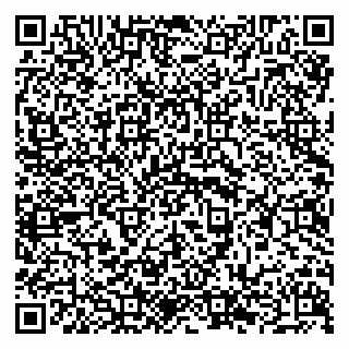 vCard 79294189379