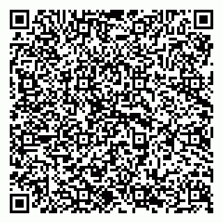 vCard 79294189381