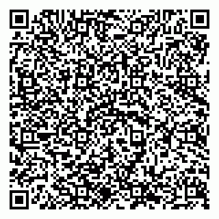 vCard 79294189382