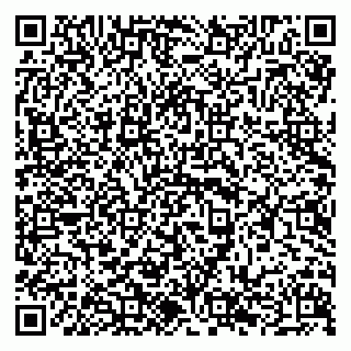 vCard 79294189398