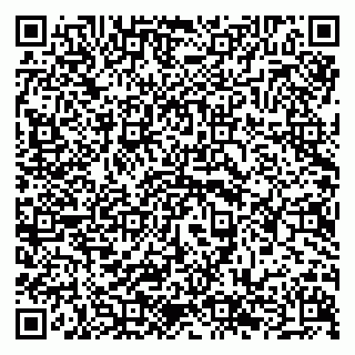 vCard 79294189409
