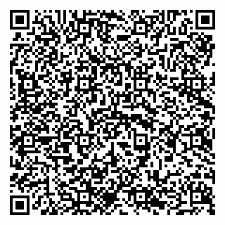 vCard 79294189473