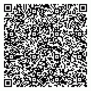 vCard 79294189499