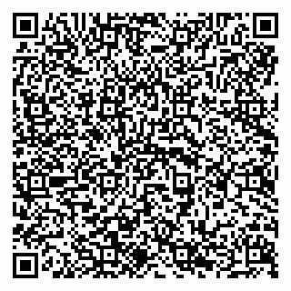 vCard 79294189501