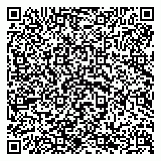 vCard 79294189511