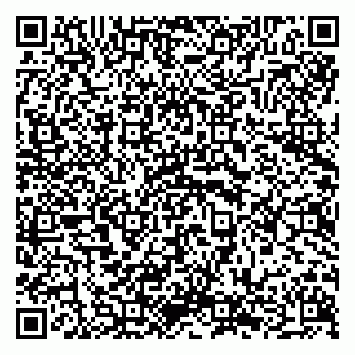 vCard 79294189527