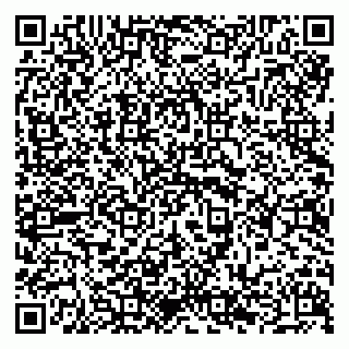 vCard 79294189529