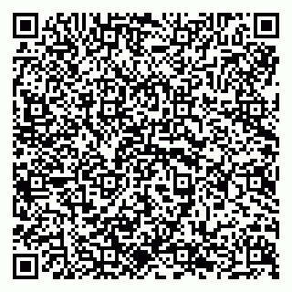 vCard 79294189531
