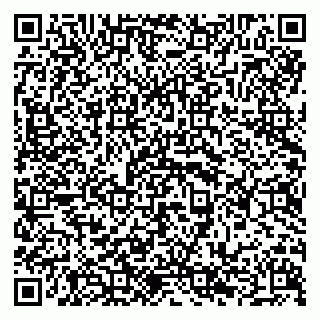 vCard 79294189573