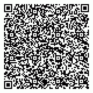 vCard 79294189631