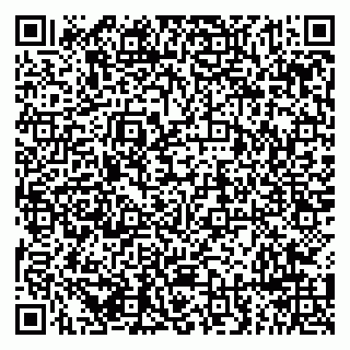 vCard 79294190181