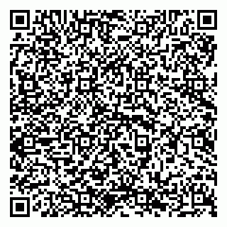 vCard 79294190313