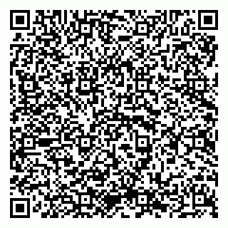 vCard 79294190320