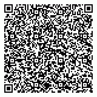 vCard 79294191710