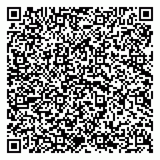 vCard 79294192411