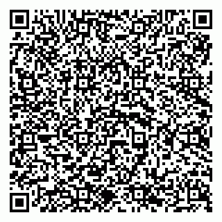 vCard 79294198860