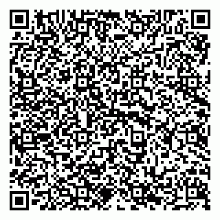 vCard 79294199631