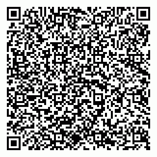 vCard 79294199713